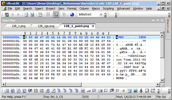 Fig 2 UltraEdit Screen of Paint File