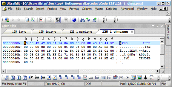 Figure 6. UltraEdit Screen of Gimp
